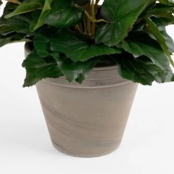 Mica Decorations Begonia Kunstplant - H37 X Ø36 Cm - Wit -Home Decoration Store 1000078165 0103