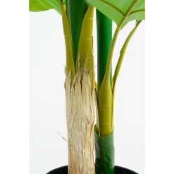 Mica Decorations Strelitzia Kunstplant - H150 X Ø40 Cm - Groen -Home Decoration Store 1000078181 0102