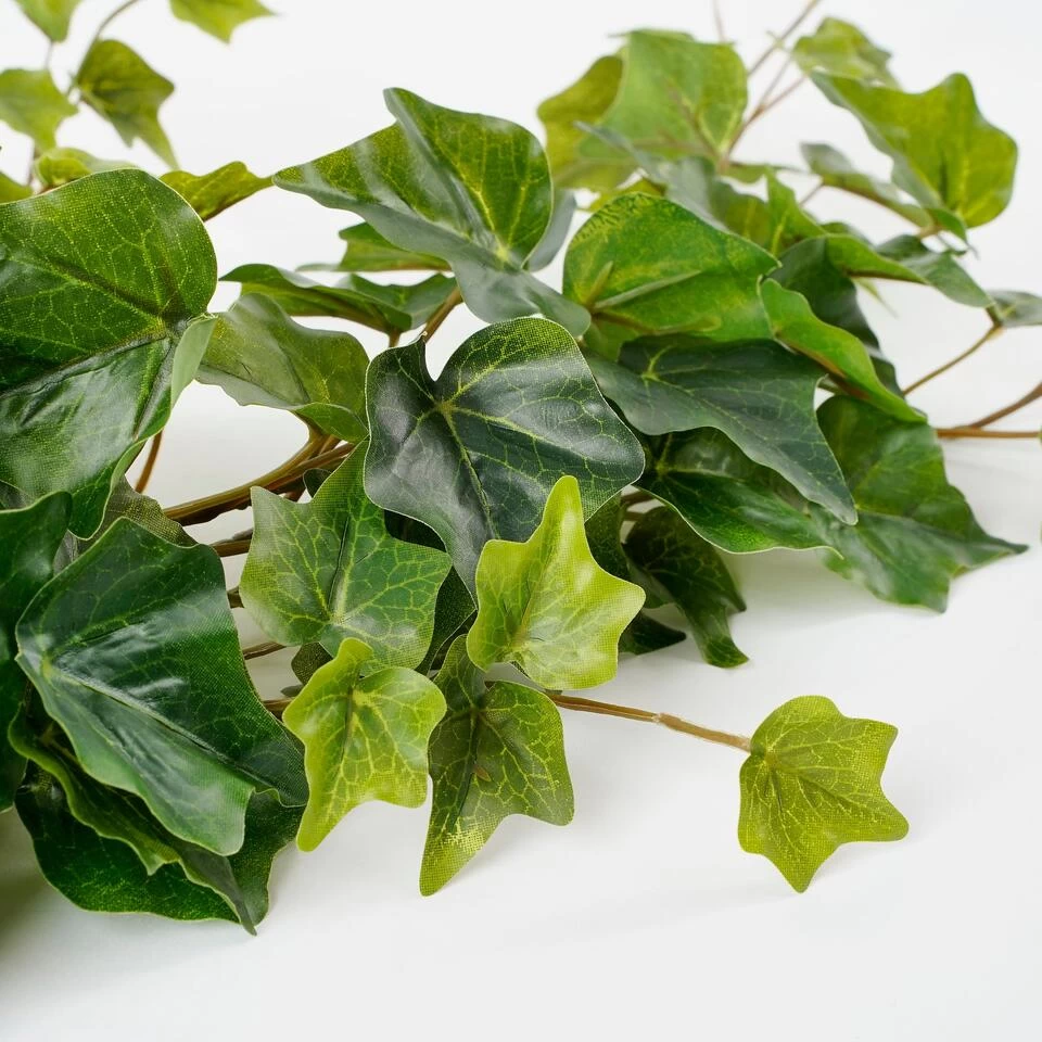 Mica Decorations Hedera Kunst Hangplant - H71 Cm - Groen 2 Mica Decorations Hedera Kunst Hangplant - H71 Cm - Groen - Afbeelding 2