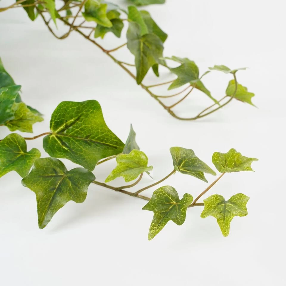 Mica Decorations Hedera Kunst Hangplant - H71 Cm - Groen 3 Mica Decorations Hedera Kunst Hangplant - H71 Cm - Groen - Afbeelding 3