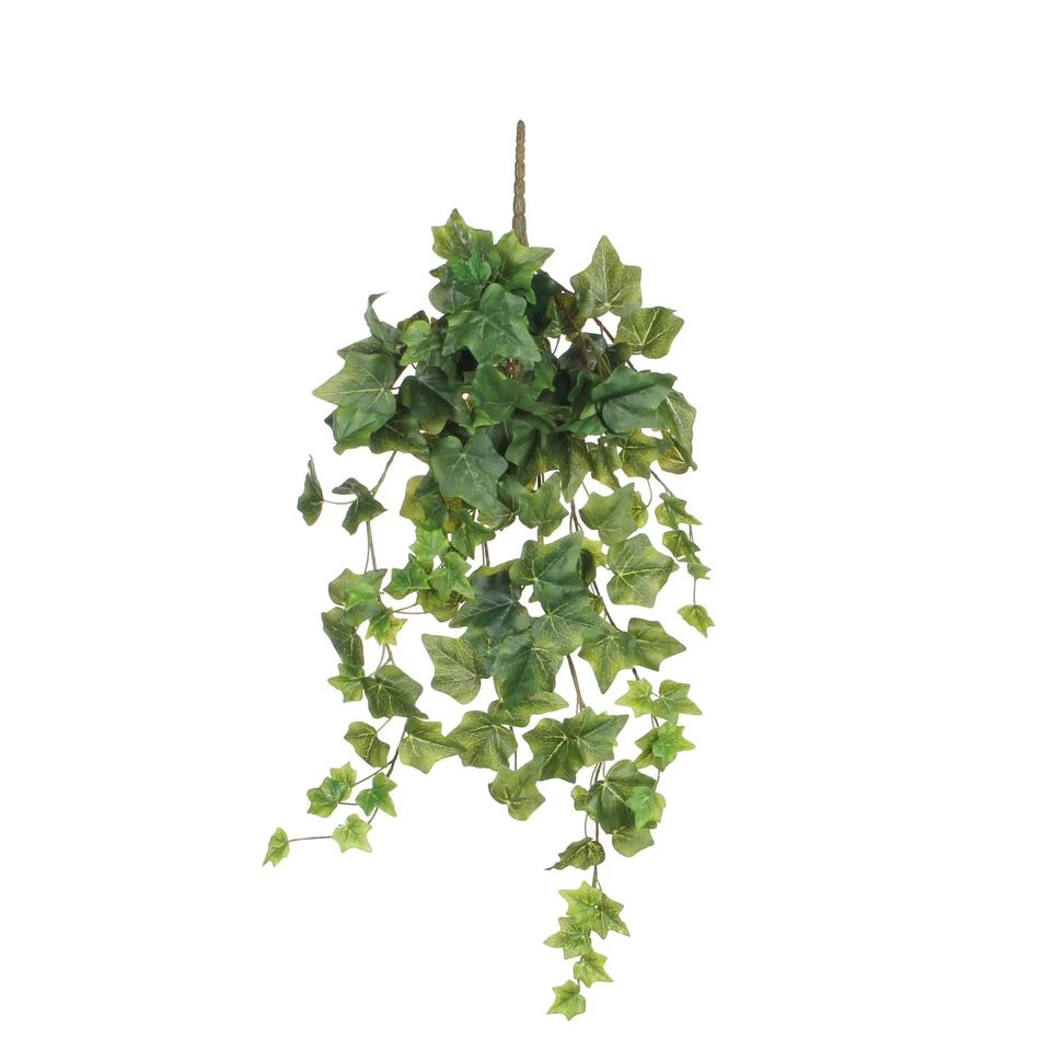 Mica Decorations Hedera Kunst Hangplant - H71 Cm - Groen 1 Mica Decorations Hedera Kunst Hangplant - H71 Cm - Groen
