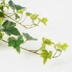 Mica Decorations Hedera Kunst Hangplant - H71 Cm - Groen Bont -Home Decoration Store 1000078186 0102
