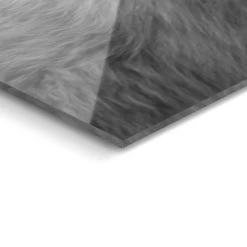 Glasschilderij Witte Wolf 78x116 Cm Zwart-Wit -Home Decoration Store 1000082395 0103