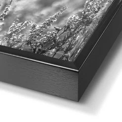 Art Frame Schotse Hooglander 70x118 Cm Zwart-Wit -Home Decoration Store 1000085524 0103