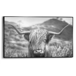 Art Frame Schotse Hooglander 70x118 Cm Zwart-Wit