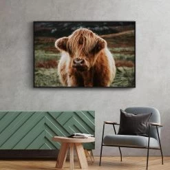Walljar - Schotse Hooglander - Poster Met Lijst / 70 X 100 Cm -Home Decoration Store 1000091243 0102