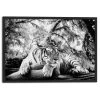 Ingelijste Poster Tijger 63x93 Cm Zwart-Wit