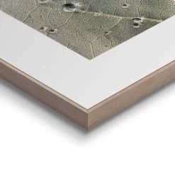 Schilderij Dauwdruppels 50x50 Cm Groen 7 Schilderij Dauwdruppels 50x50 Cm Groen -Home Decoration Store 1000096679 0103