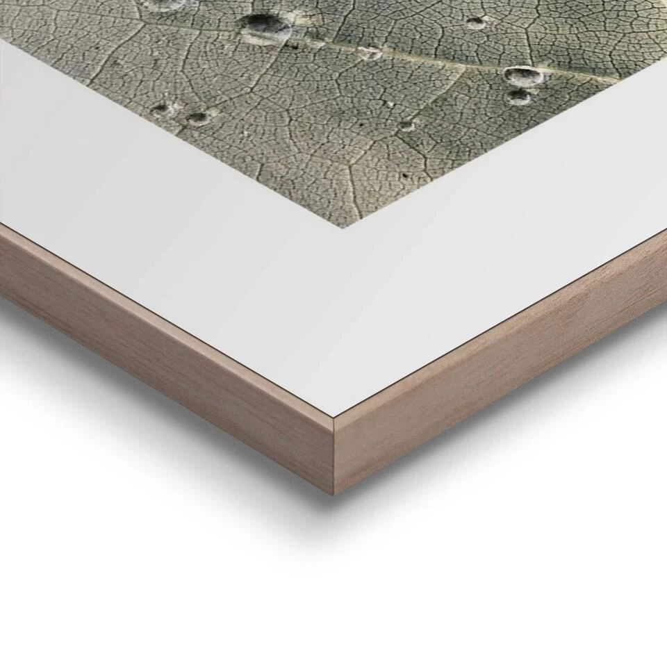 Schilderij Dauwdruppels 50x50 Cm Groen 4 Schilderij Dauwdruppels 50x50 Cm Groen - Afbeelding 4