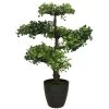 H&S Collection Kunstplant Bonsai Boompje In Pot - Japans Deco - 50cm