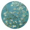 Glasschilderij Van Gogh Amandelbloesem Ø 50 Cm Blauw