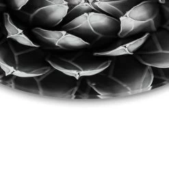 Glasschilderij Succuelent Agave Ø 50 Cm Zwart -Home Decoration Store 1000097280 0103