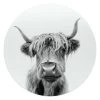 Glasschilderij Schotse Hooglander Ø 50 Cm Zwart-Wit