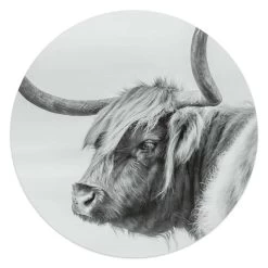 Glasschilderij Schotse Hooglander Profiel Ø 50 Cm Zwart-Wit