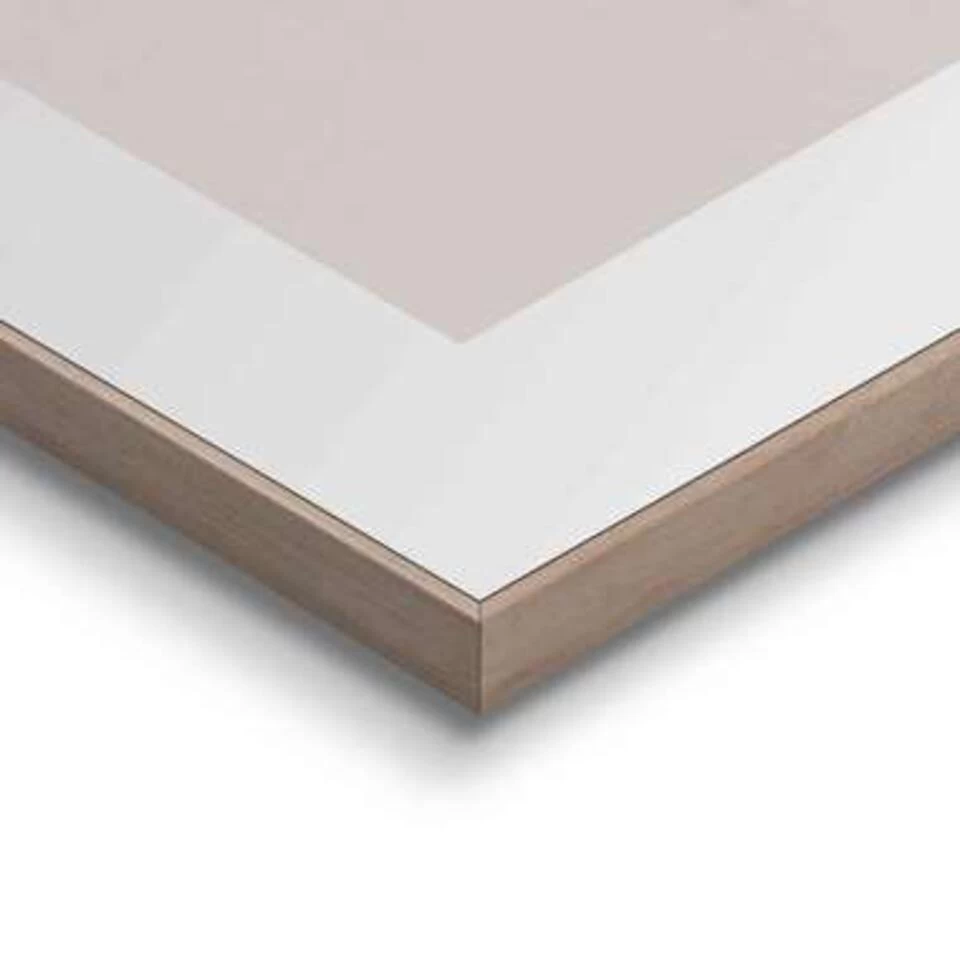 Schilderij Pampasgras 70x50 Cm Beige 4 Schilderij Pampasgras 70x50 Cm Beige - Afbeelding 4