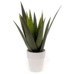 Bellatio Flowers & Plants Kunstplant - Aloe Vera - In Pot - 35 Cm
