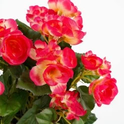 Mica Decoration Kunstplant - Begonia - Donkerroze - In Pot - 30 Cm -Home Decoration Store 1168664740 0103