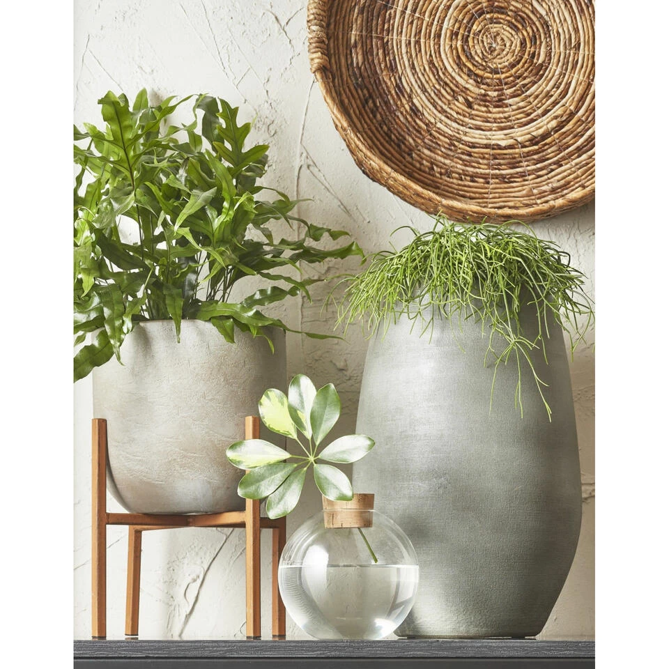 Mica Decorations Vaas - Grijs - Keramiek - 29 X 50 Cm 2 Mica Decorations Vaas - Grijs - Keramiek - 29 X 50 Cm - Afbeelding 2