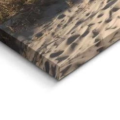 Schilderij Duinen 40x118 Cm Beige -Home Decoration Store 1183417336 0103