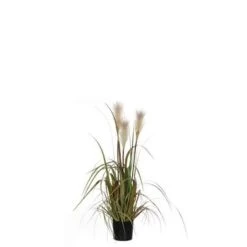 Mica Decorations Pluimgras Foxtail Kunstplant H81 Cm Wit