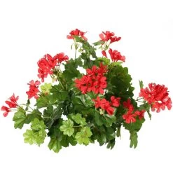 Bellatio Design Kunstplant - Oostenrijkse Geranium - Rood - 40 Cm -Home Decoration Store 1307358469 0102