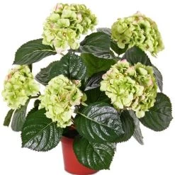Merkloos Kunstplant Hortensia - Wit Met Groen - 36 Cm