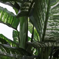 Mica Decorations Dieffenbachia Kunstplant - H105 X Ø85 Cm -Home Decoration Store 1471928804 0111