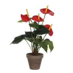 Merkloos Kunstplant Anthurium - Rood - In Grijze Pot - 40 Cm