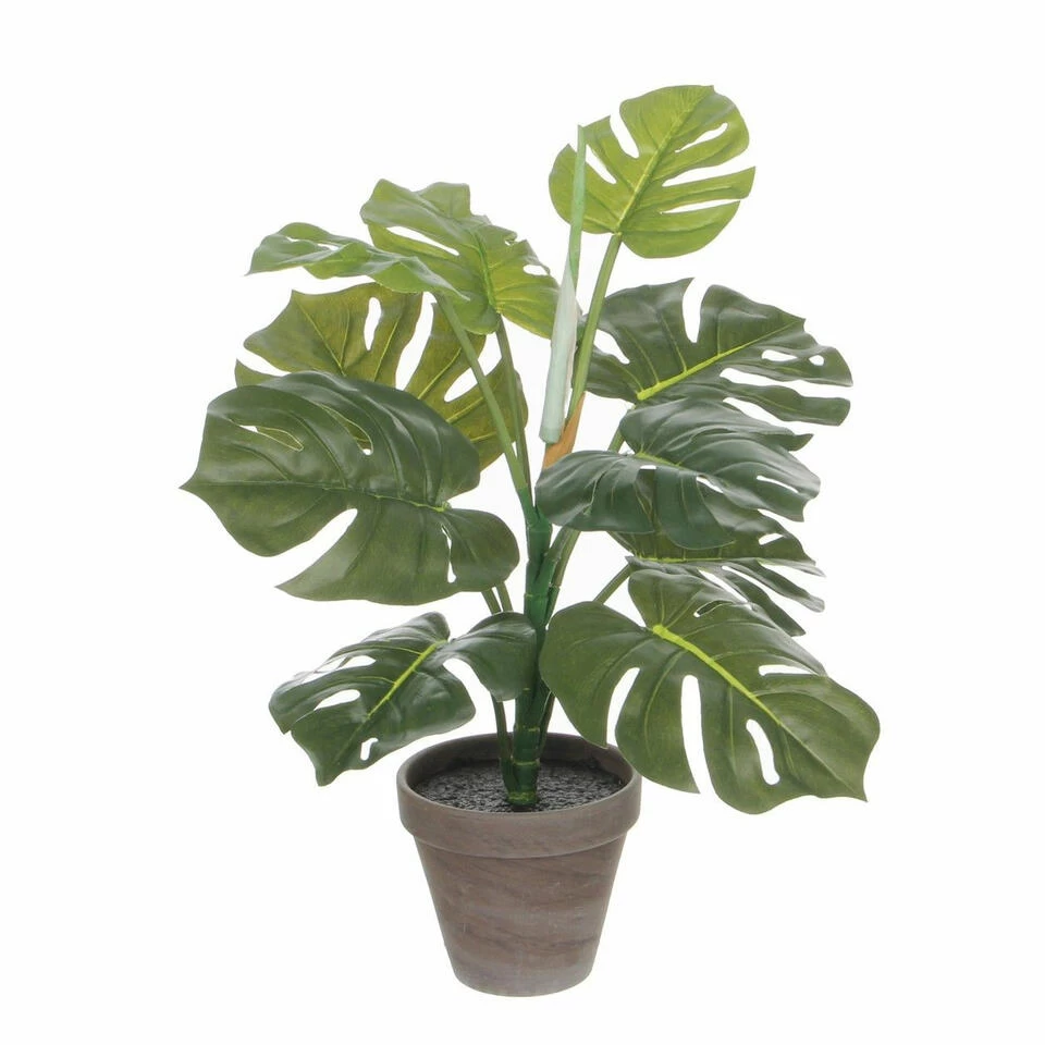 Mica Decorations Kunstplant Monstera - Gatenplant - 48 Cm - Pot Grijs 1 Mica Decorations Kunstplant Monstera - Gatenplant - 48 Cm - Pot Grijs