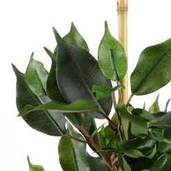 Mica Decorations Ficus Exotica Kunstplant In Bloempot 60 Cm -Home Decoration Store 1588578853 0103