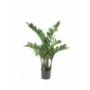 Bellatio Flowers & Plants Kunstplant - Zamioculcas - Groen - 70 Cm