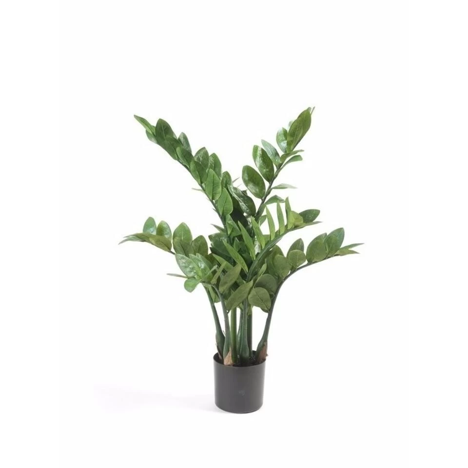 Bellatio Flowers & Plants Kunstplant - Zamioculcas - Groen - 70 Cm 1 Bellatio Flowers & Plants Kunstplant - Zamioculcas - Groen - 70 Cm
