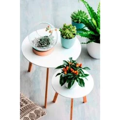 Mica Decorations Asplenium Kunstplant In Bloempot H54 Cm -Home Decoration Store 1603646301 0104