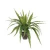 Mica Decorations Asplenium Kunstplant In Bloempot H54 Cm