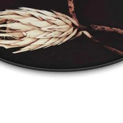 Schilderij Droogbloemen Ø 50 Cm Zwart -Home Decoration Store 1606517922 0103