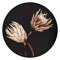 Schilderij Droogbloemen Ø 50 Cm Zwart