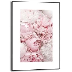 Schilderij Pioenrozen 70x50 Cm Roze