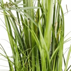 Mica Decorations Pluimgras Kunstplant - H120 X Ø45 Cm -Home Decoration Store 1716833887 0103