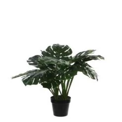 Mica Decorations Monstera Kunstplant - H50 X Ø70 Cm