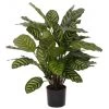 Bellatio Flowers & Plants Kunstplant - Calathea Makoyana - 67 Cm
