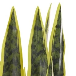 Beliani Kunstplant SNAKE PLANT - Groen Synthetisch Materiaal -Home Decoration Store 1802099476 0102
