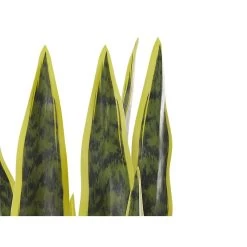 Beliani Kunstplant SNAKE PLANT - Groen Synthetisch Materiaal -Home Decoration Store 1802099476 0103