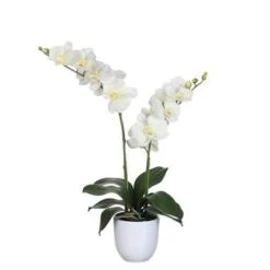 Mica Decorations Phalaenopsis Kunstplant - H66 X Ø38 Cm - Crème