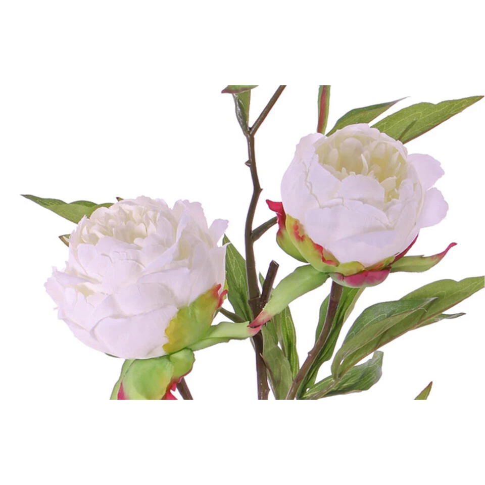 Merkloos Kunstbloem - Pioenroos - Wit - Tak - 73 Cm 2 Merkloos Kunstbloem - Pioenroos - Wit - Tak - 73 Cm - Afbeelding 2