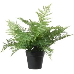 Louis Maes Kunstplant - Bosvaren - Dyropteris Remota - Groen - 43 Cm