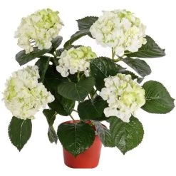 Merkloos Kunstplant Hortensia - Wit Met Groen - 36 Cm