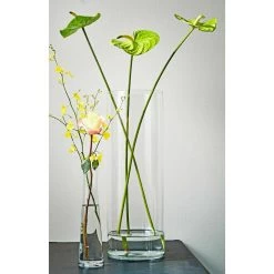 Mica Decorations Vaas - Cilinder - Glas - Transparant - 55 Cm -Home Decoration Store 1966118292 0103