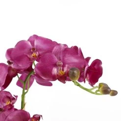 Mica Decorations Phalaenopsis Kunstplant In Bloempot Paars 7 Mica Decorations Phalaenopsis Kunstplant In Bloempot Paars -Home Decoration Store 1980621027 0103