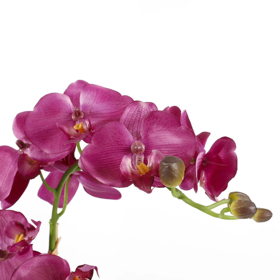 Mica Decorations Phalaenopsis Kunstplant In Bloempot Paars 4 Mica Decorations Phalaenopsis Kunstplant In Bloempot Paars - Afbeelding 4