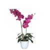 Mica Decorations Phalaenopsis Kunstplant In Bloempot Paars